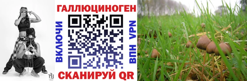 как найти закладки  Урай  Галлюциногенные грибы Psilocybine cubensis 